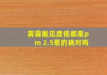 雾霾能见度低都是pm 2.5惹的祸对吗